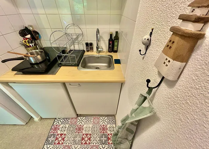 Terrasse Téléo  Hôpital Rangueil - Pech David Appartamento *