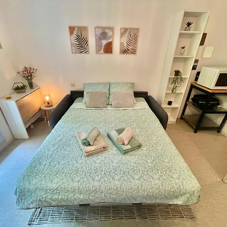 Appartamento Terrasse Téléo  Hôpital Rangueil - Pech David Tolosa