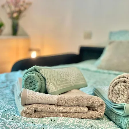 Appartamento Terrasse Téléo  Hôpital Rangueil - Pech David Tolosa